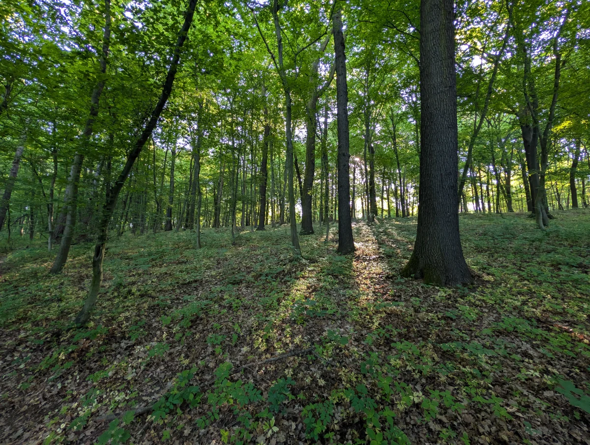 Układanka